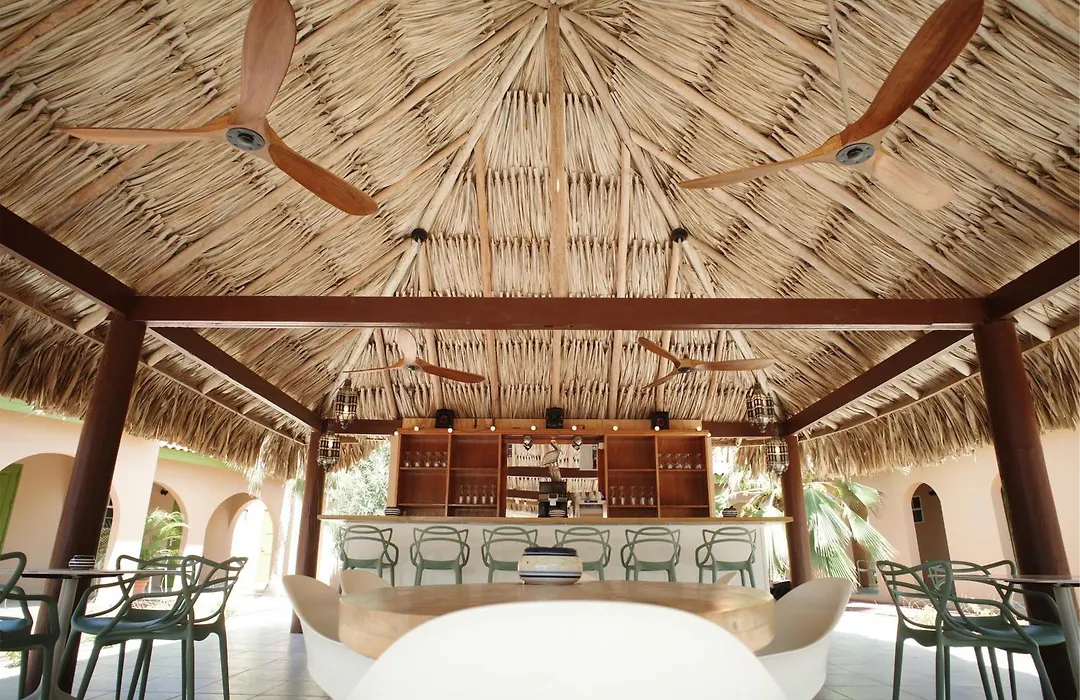 The Lizard Boutique Hotel-1