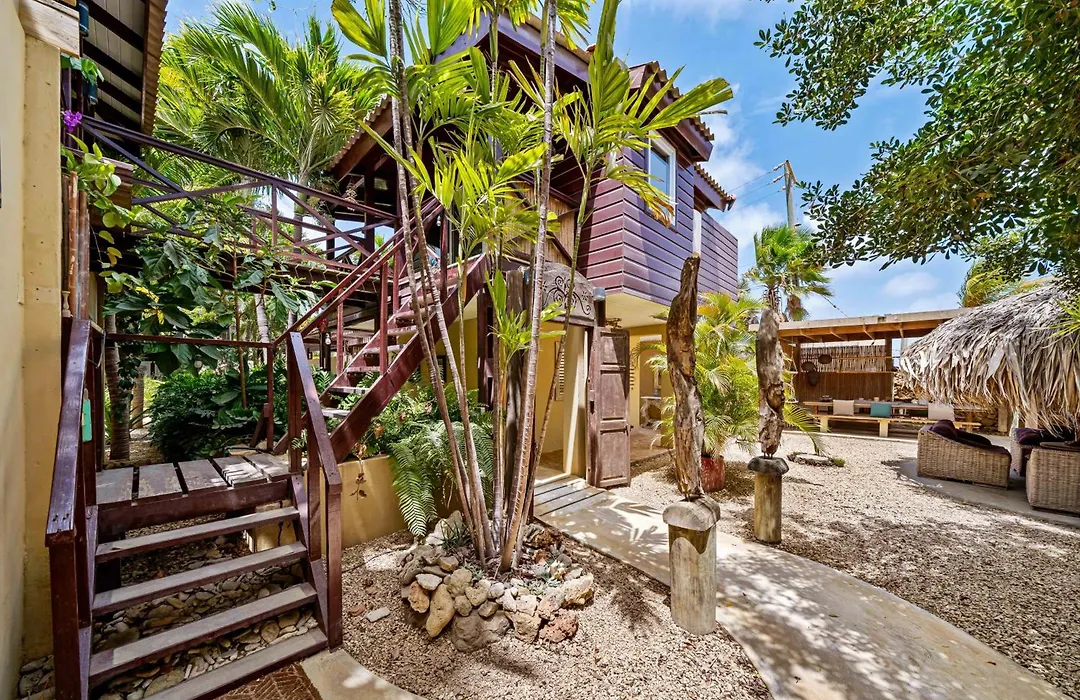 Bamboo Bonaire By Boutique Bonaire Unique Resorts-1