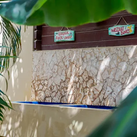 Bamboo Bonaire By Boutique Bonaire Unique Resorts-3